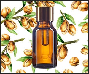 Argan Oil - INS601 Argan Oil - INS601